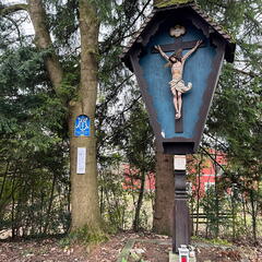 23-12-20 11-25-23 8242